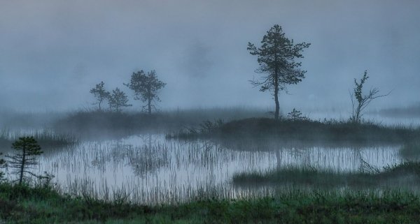 Мистическое болото