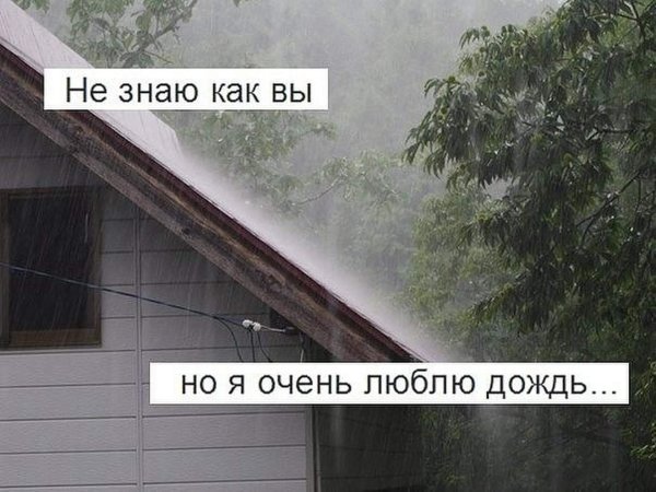 Люблю дождь статусы