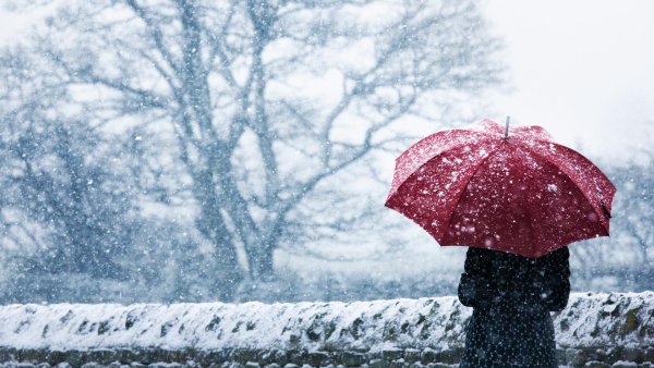 С зонтом под снегом