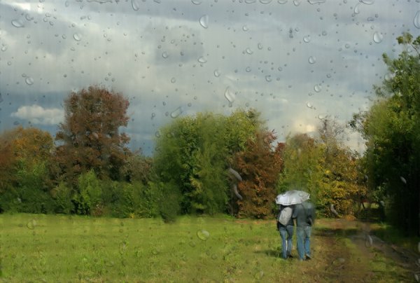 Дождик моросит