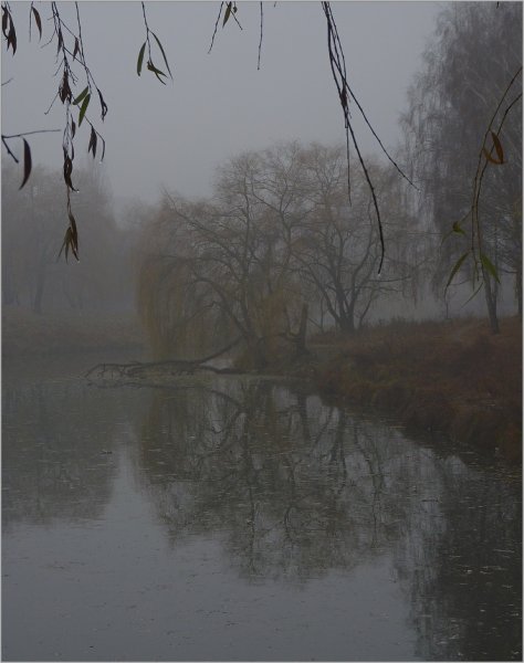 Мжичка морось