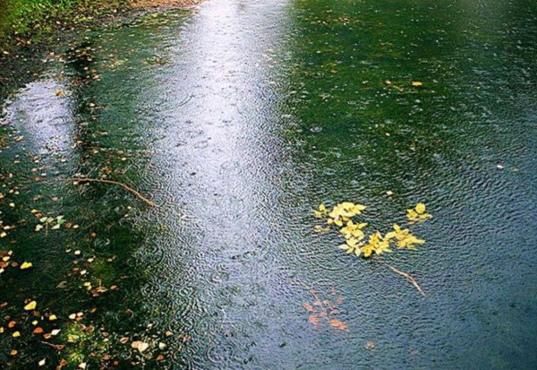 Моросящий осенний дождь