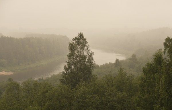Утро дождь деревня
