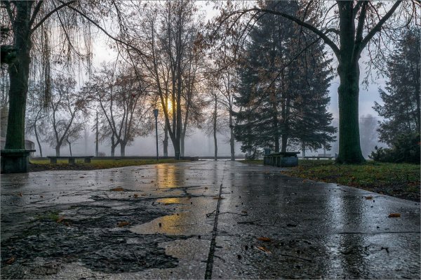 Моросящий дождь