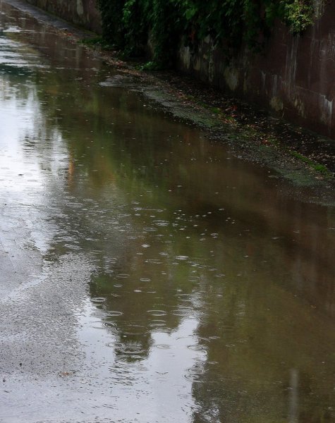 Моросит мелкий дождь