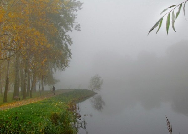 Моросящий осенний дождь