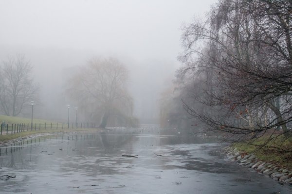 Туман дождь снег