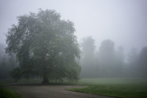 Дождь морось