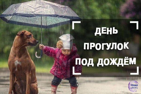 День прогвлов под Дождкм