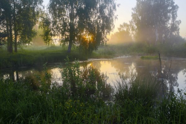 Хмурое летнее утро