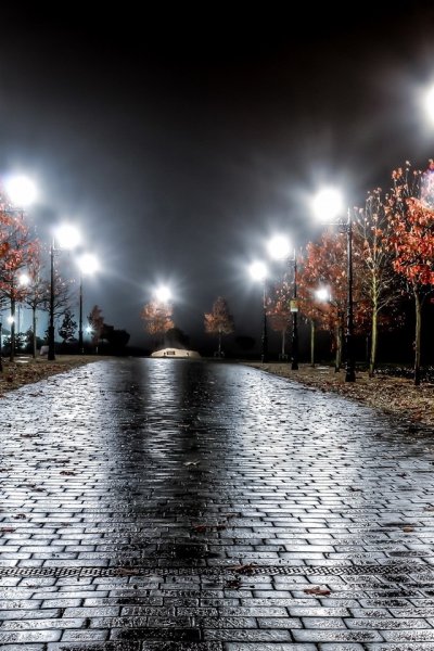 Дождь ночью