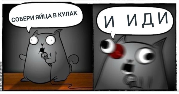 Кот Каламбур