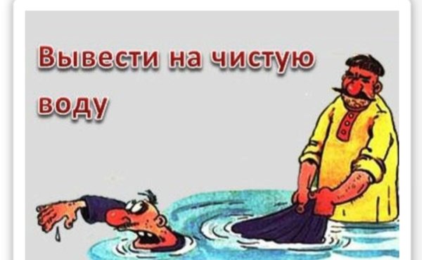 Выведу на чистую воду