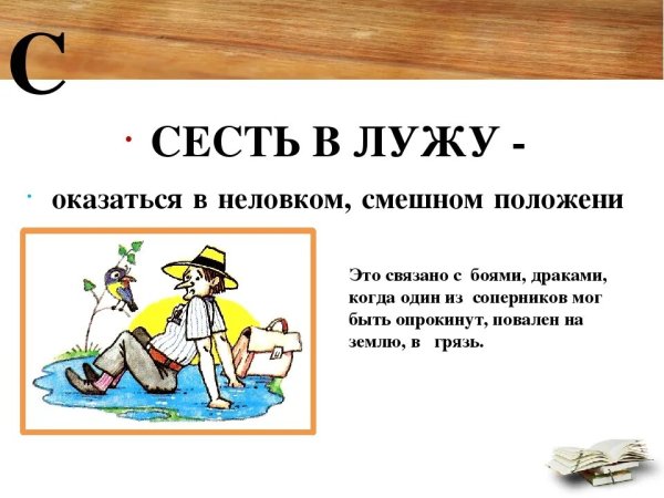 Сесть в лужу значение