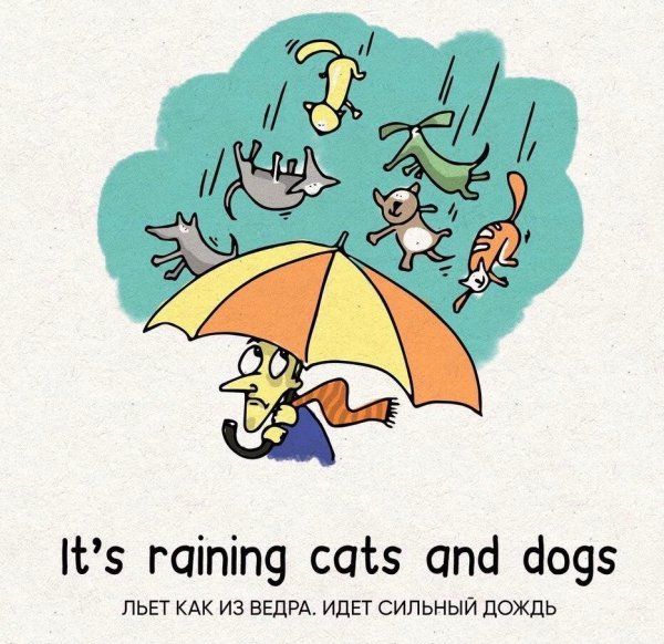 Raining Cats and Dogs идиома