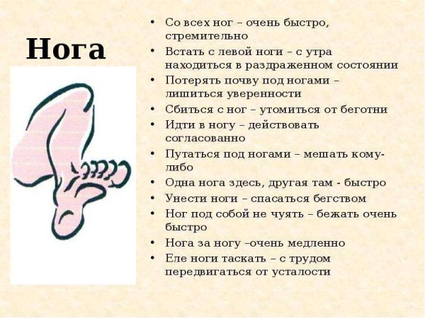 Фразеологизмы со словом нога