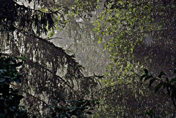 Слепой дождь