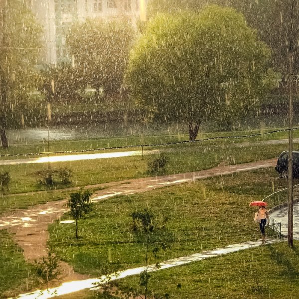 Слепой дождь летом