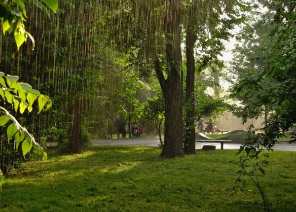 Слепые дожди