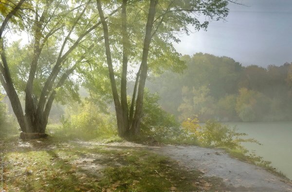 Слепой дождик