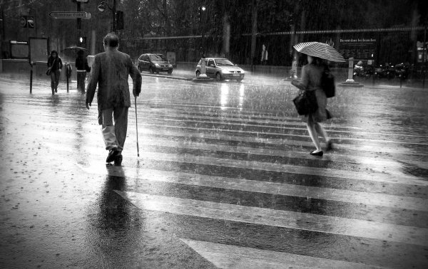 Слепой дождь