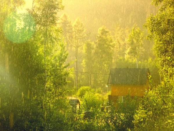 Слепой дождь