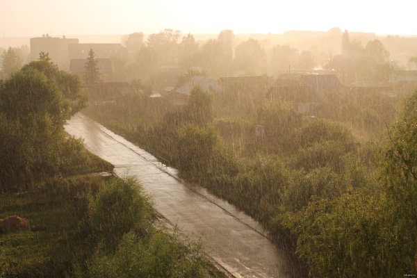 Слепой дождик