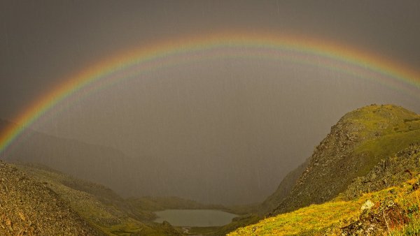 Слепой дождик