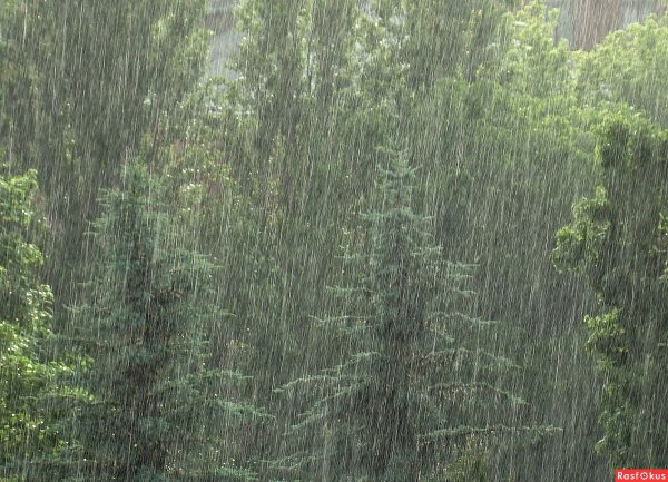 Слепой дождик