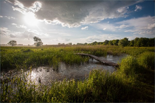 Слепой дождик
