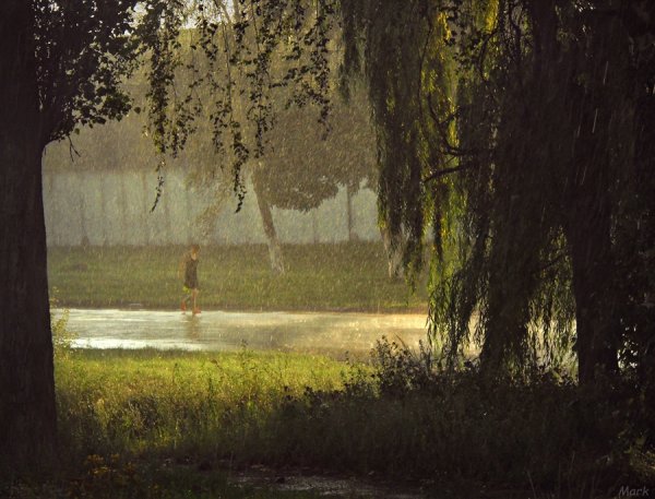 Слепой дождь