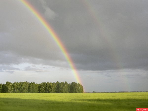 Слепой дождь Радуга