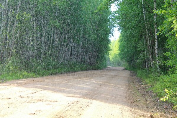 Слепой на природе