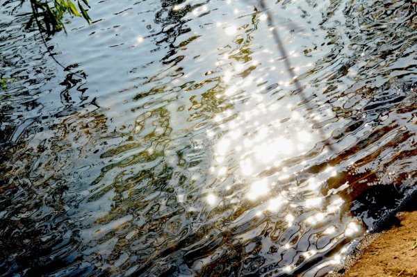 Солнце отражается в луже