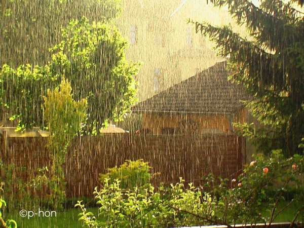 Слепой дождь дождь это