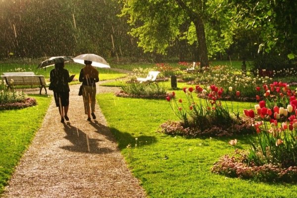 Солнечное лето в городе