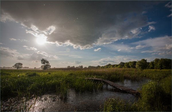 Слепой дождь фото