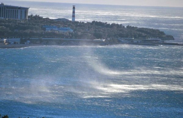 Норд-ОСТ ветер в Геленджике