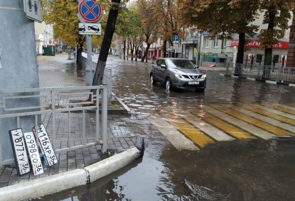 Воронеж лужи