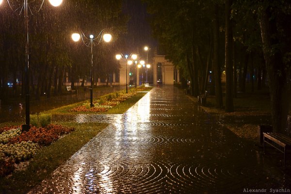 Дождливый Воронеж