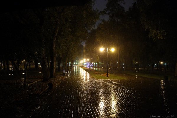 Воронеж парк ночью