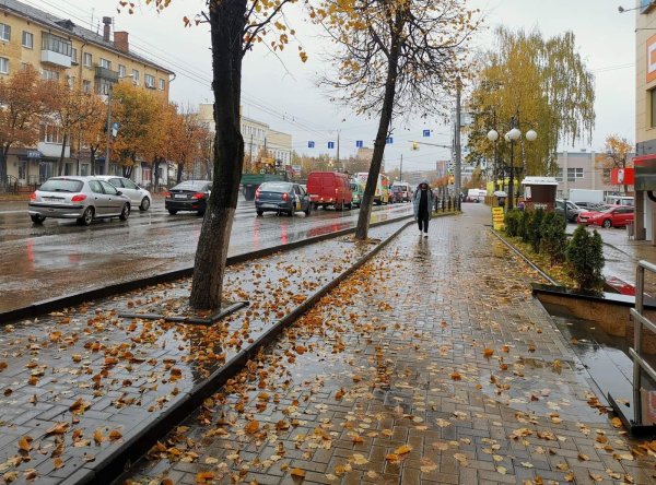 Осенний дождь в городе