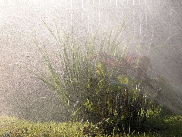 Дождь Ситник, ливень