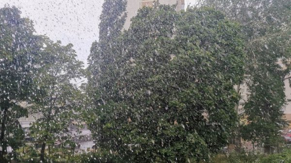 Сильные дожди, грозы и +24°с обещают воронежцам на выходных