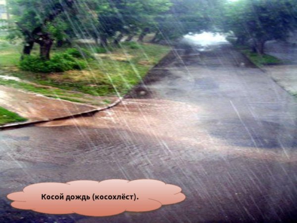 Ливень косохлест ситничек