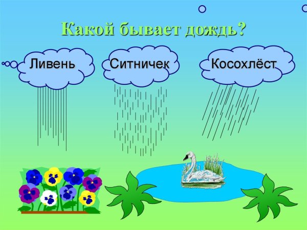 Ливень ситничек косохлёст