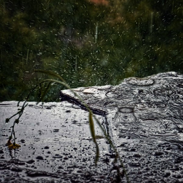 Разные дожди под названием