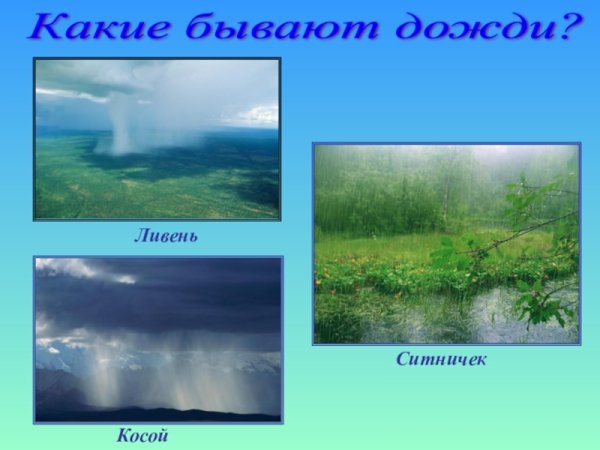 Ливень ситничек косохлёст