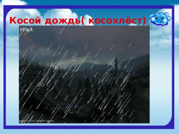 Ливень ситничек косохлёст