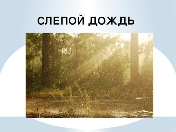 Слепой дождь дождь это